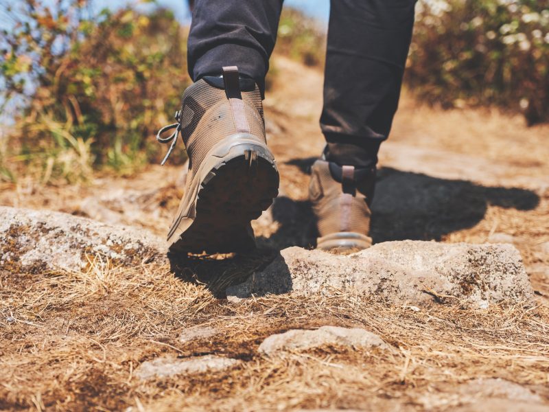 AdobeStock_334685430