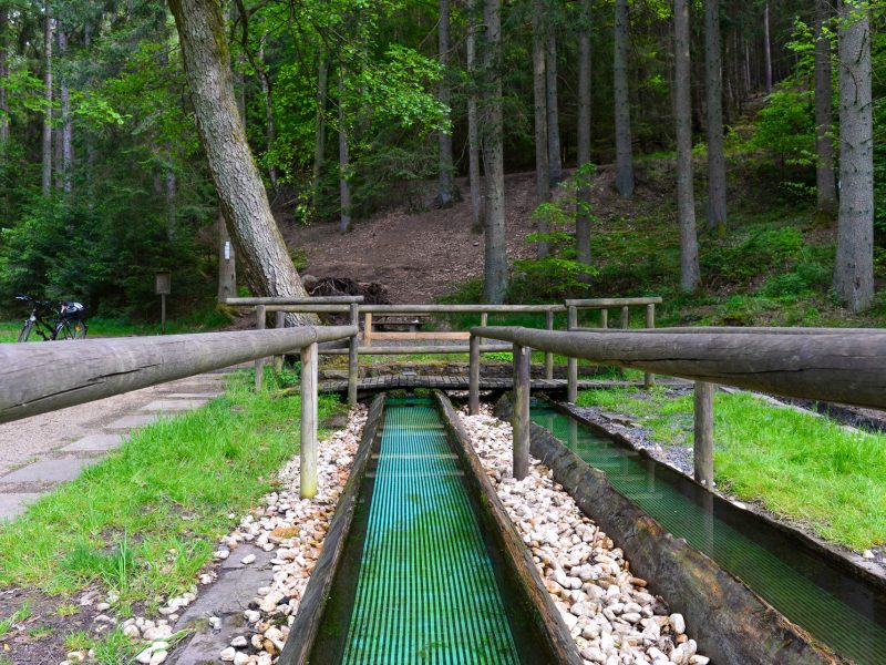 AdobeStock_357816893